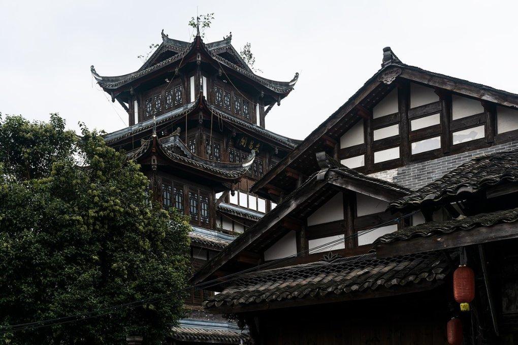 长春中医药大学女篮夺冠！